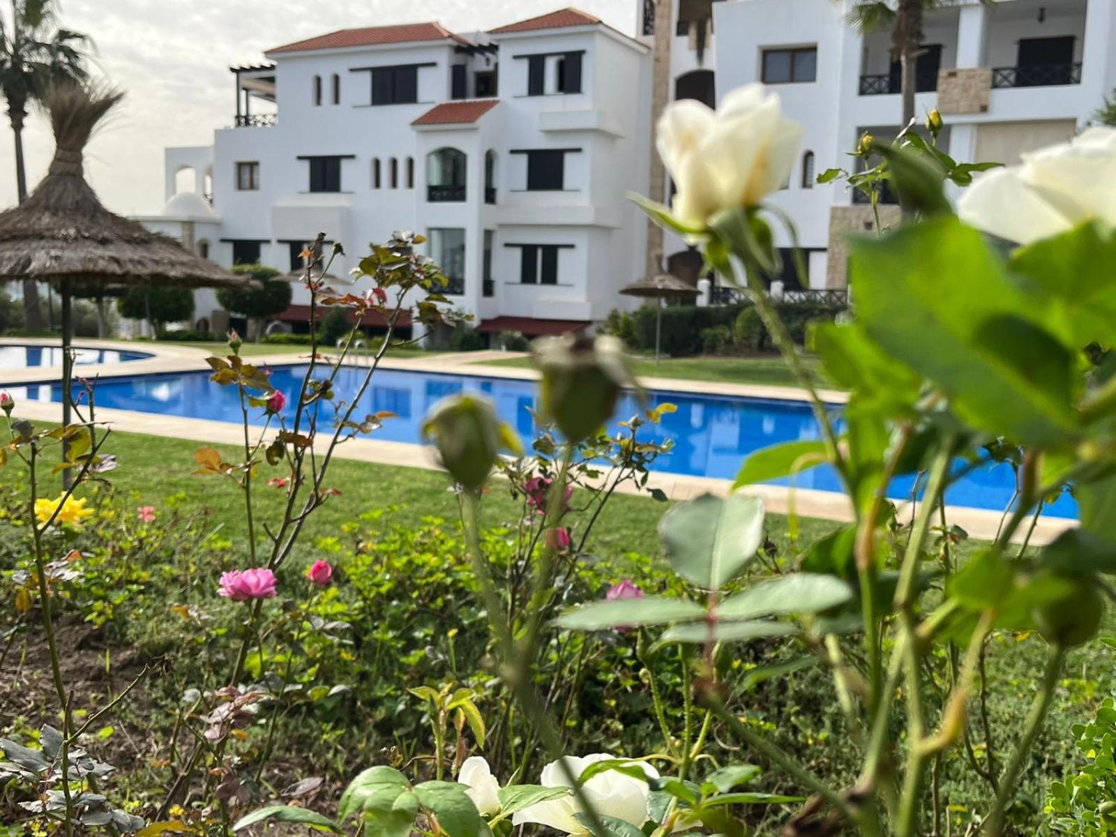 Lilac'S Garden Vue Piscine M'Diq Esterno foto